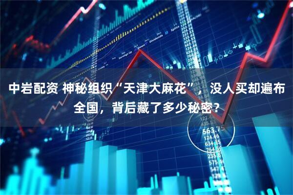 中岩配资 神秘组织“天津大麻花”，没人买却遍布全国，背后藏了多少秘密？