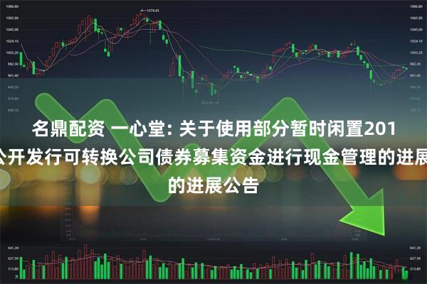 名鼎配资 一心堂: 关于使用部分暂时闲置2018年公开发行可转换公司债券募集资金进行现金管理的进展公告